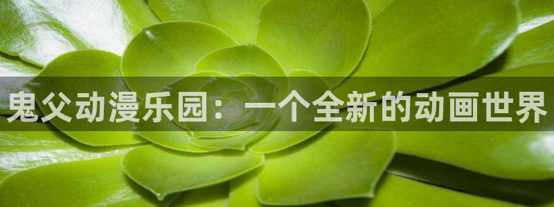 囧次元官网网址最新