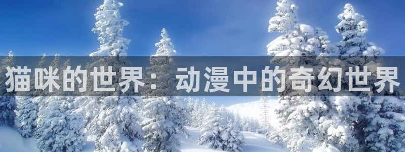 囧次元无广告：猫咪的世界：动漫中的奇幻世界